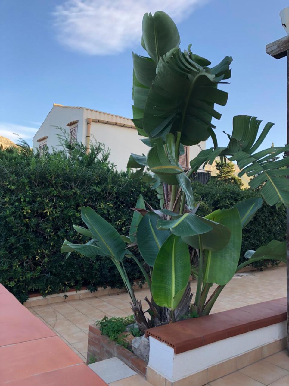 Villa A San Vito Lo Capo Minaudo Екстериор снимка
